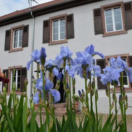 Ferme Les Iris アパート