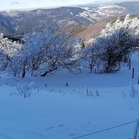 アパート Ferme Les Iris Issenheim